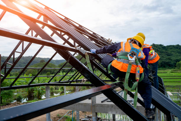 Best Gutter Installation and Roofing  in Thornton, IL